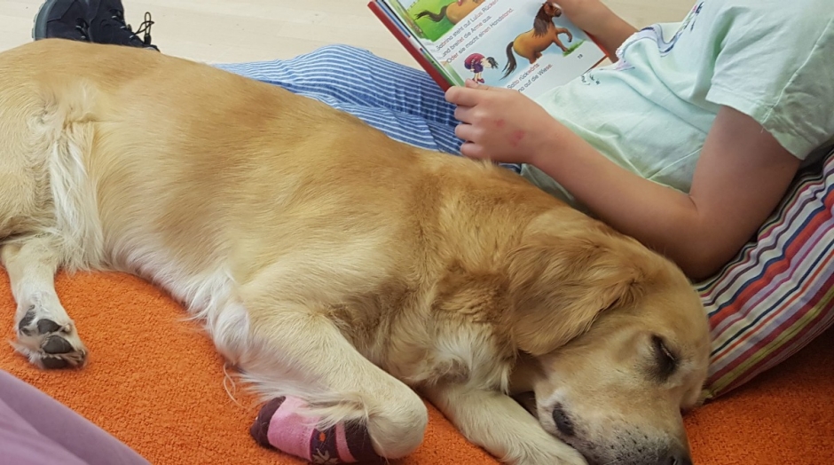 Kind einem Hund am vorlesen